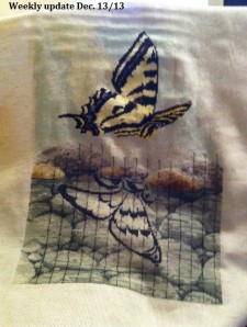 butterfly16